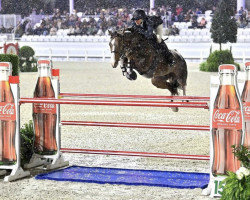 Springpferd Camilla Z (Zangersheide Reitpferd, 2012, von Cliff 67)