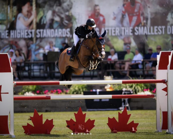 jumper Carmela Z (Zangersheide riding horse, 2011, from Candillo Z)