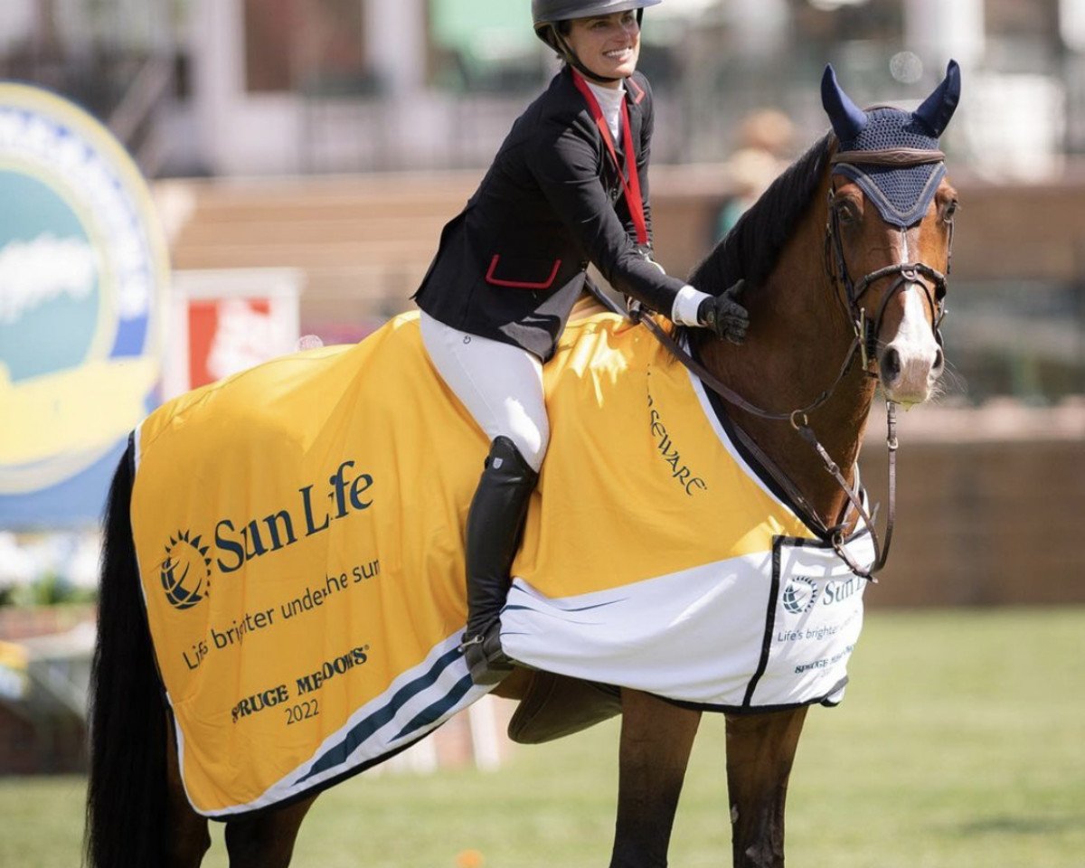 jumper Kitting des Hausseurs (Belgian Warmblood, 2010, from Winningmood van de Arenberg)