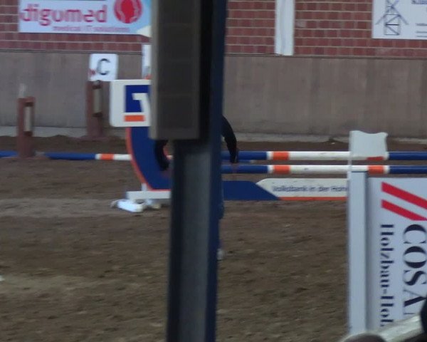 Reitturnier Lembeck 2024
