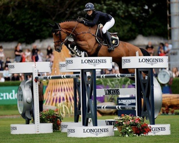 jumper Ibiza (KWPN (Royal Dutch Sporthorse), 2013, from Inshallah de Muze)