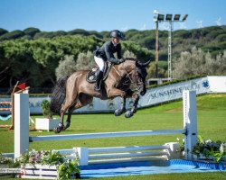 jumper Eliott Max Droeshout Z (Zangersheide riding horse, 2015, from Emerald van 't Ruytershof)