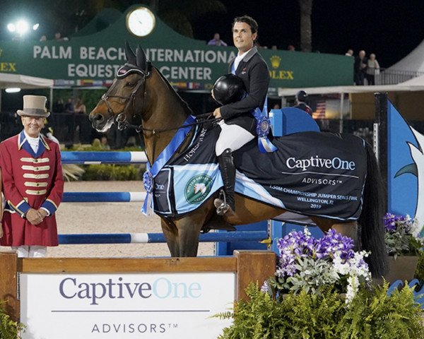 broodmare Mhs Attraction (Irish Sport Horse, 2010, from Numero Uno)