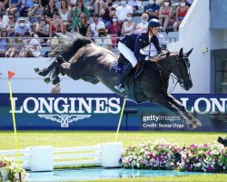 jumper Kitona de Muze (Belgian Warmblood, 2010, from Vigo d'Arsouilles)