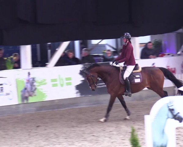 6. Nordic Jumping event Negernbötel 2024