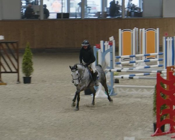 Reitturnier Aachen - Albert-Vahle-Halle 2024