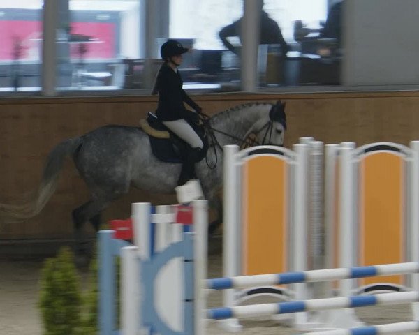 Reitturnier Aachen - Albert-Vahle-Halle 2024