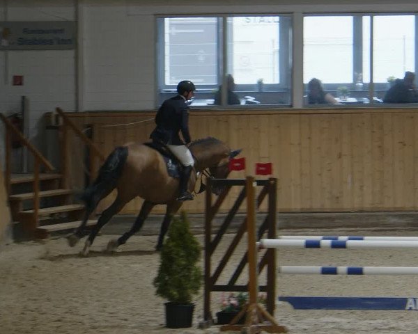 Reitturnier Aachen - Albert-Vahle-Halle 2024