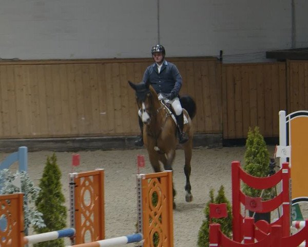 Reitturnier Aachen - Albert-Vahle-Halle 2024