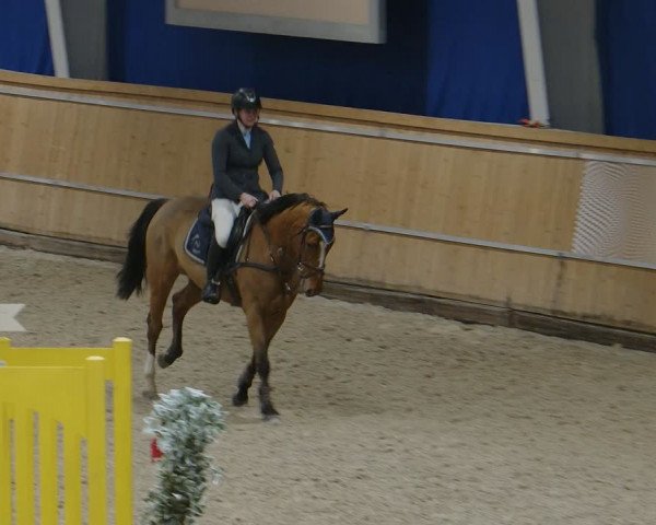 Reitturnier Aachen - Albert-Vahle-Halle 2024