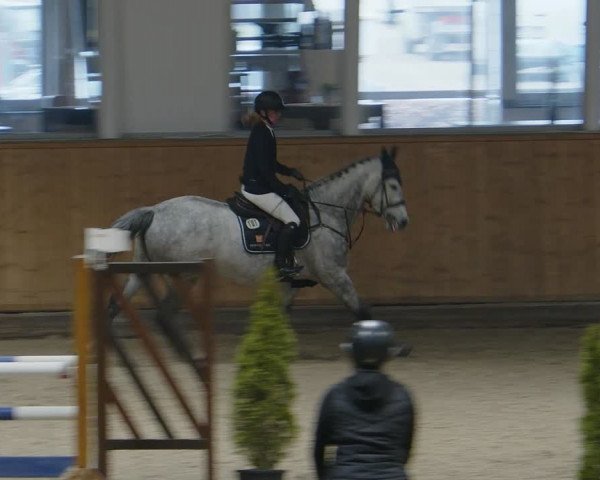 Reitturnier Aachen - Albert-Vahle-Halle 2024