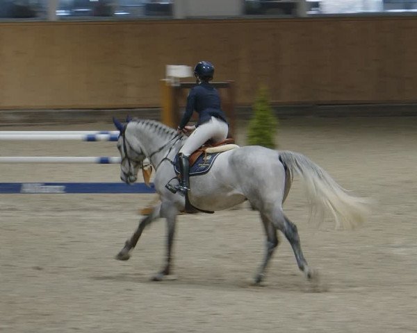 Reitturnier Aachen - Albert-Vahle-Halle 2024