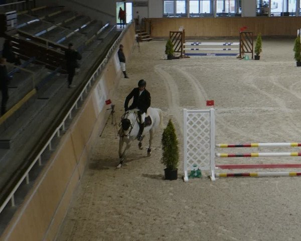 Reitturnier Aachen - Albert-Vahle-Halle 2024