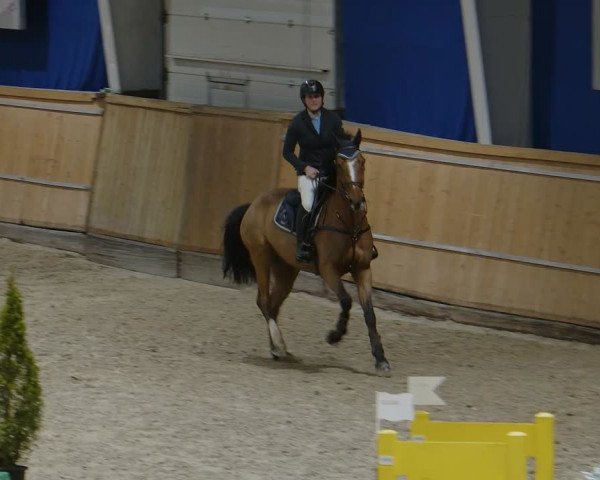 Reitturnier Aachen - Albert-Vahle-Halle 2024