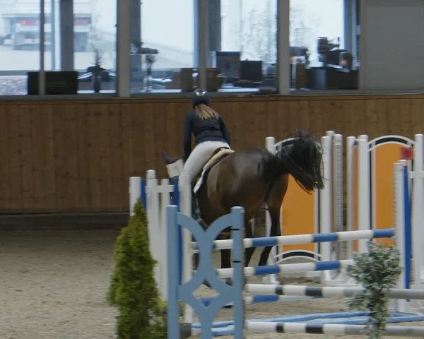 Reitturnier Aachen - Albert-Vahle-Halle 2024
