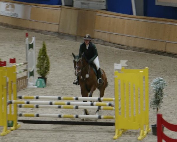 Reitturnier Aachen - Albert-Vahle-Halle 2024