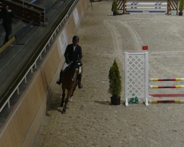 Reitturnier Aachen - Albert-Vahle-Halle 2024