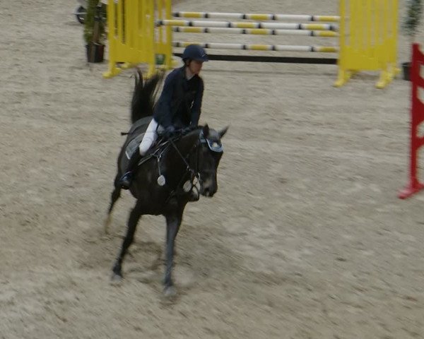 Reitturnier Aachen - Albert-Vahle-Halle 2024