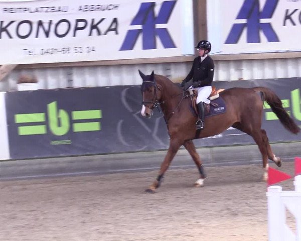 6. Nordic Jumping event Negernbötel 2024