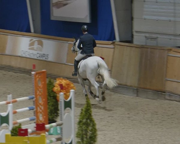 Reitturnier Aachen - Albert-Vahle-Halle 2024