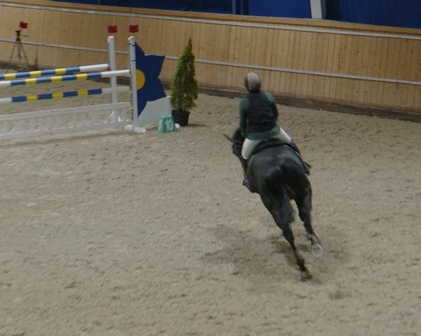 Reitturnier Aachen - Albert-Vahle-Halle 2024