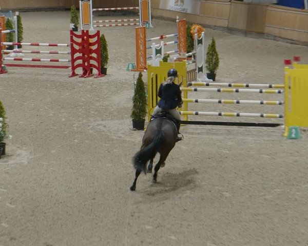 Reitturnier Aachen - Albert-Vahle-Halle 2024