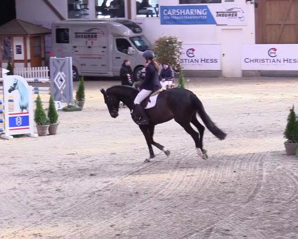 6. Nordic Jumping event Negernbötel 2024