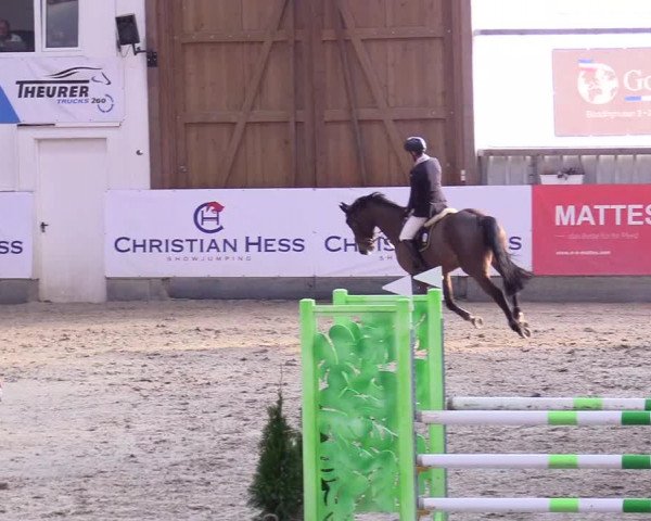 6. Nordic Jumping event Negernbötel 2024