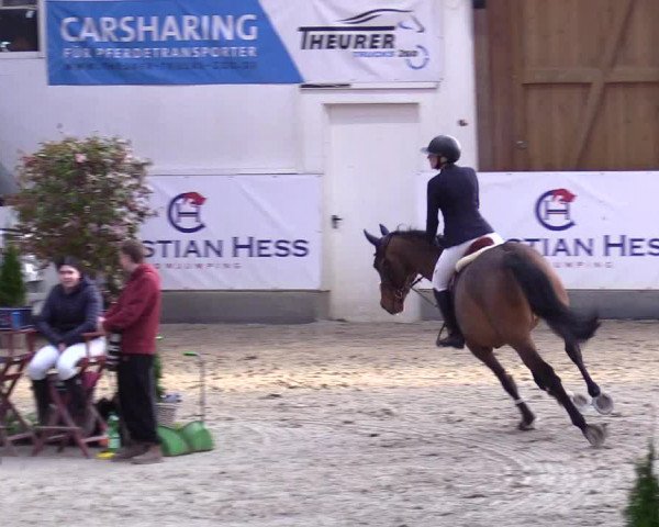 6. Nordic Jumping event Negernbötel 2024