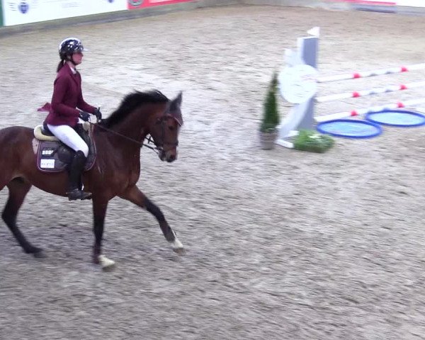 6. Nordic Jumping event Negernbötel 2024