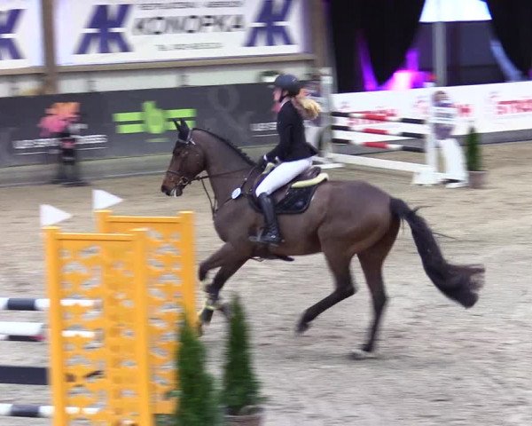 6. Nordic Jumping event Negernbötel 2024
