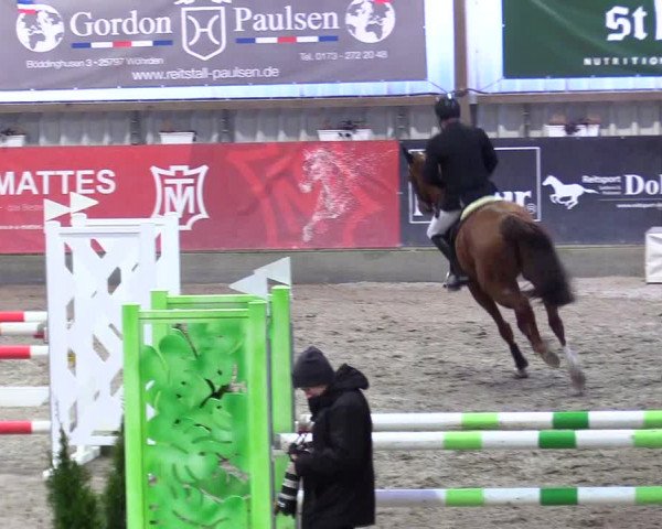 6. Nordic Jumping event Negernbötel 2024