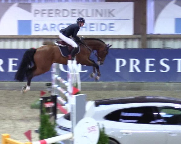 6. Nordic Jumping event Negernbötel 2024