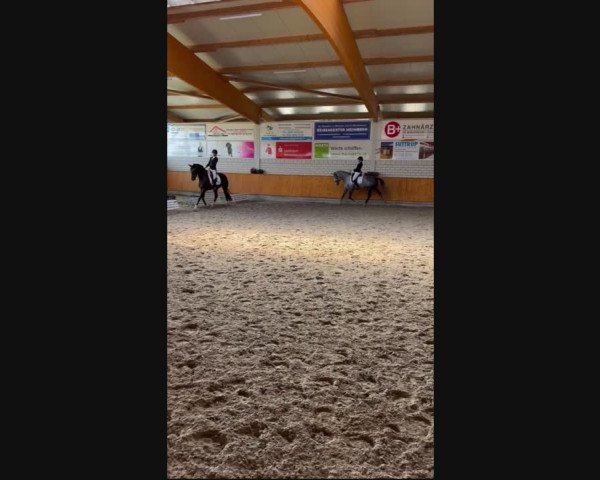 Reitturnier Senden 2023