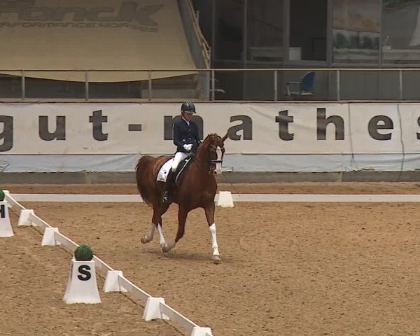 Reitturnier Kreuth/Opf. 2024