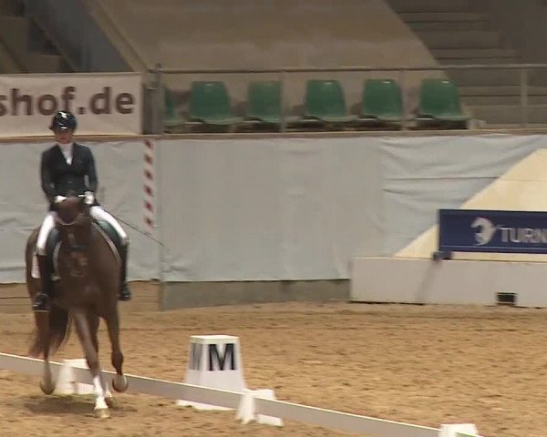 Reitturnier Kreuth/Opf. 2024