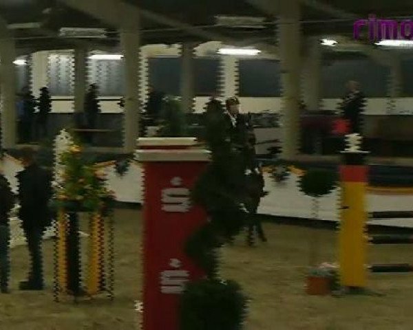 Vreden 2011