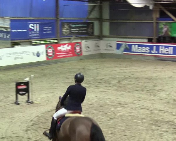 6. Nordic Jumping event Negernbötel 2024