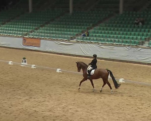 Reitturnier Kreuth/Opf. 2024