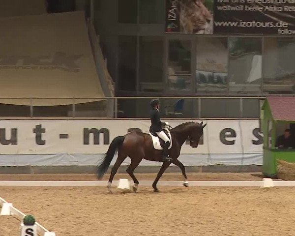 Reitturnier Kreuth/Opf. 2024