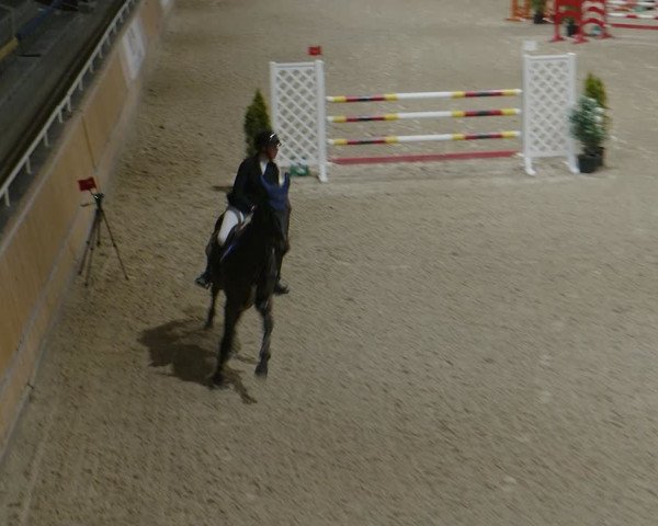 Reitturnier Aachen - Albert-Vahle-Halle 2024