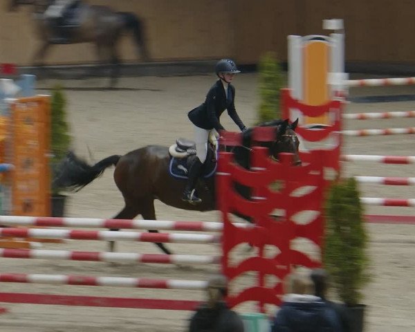 Reitturnier Aachen - Albert-Vahle-Halle 2024