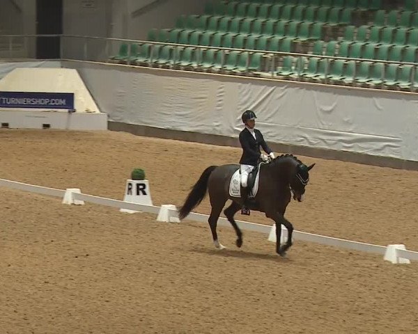 Reitturnier Kreuth/Opf. 2024