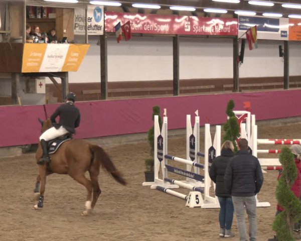 Reitturnier Vlotho-Exter 2024