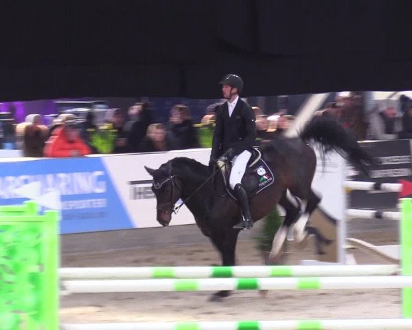 6. Nordic Jumping event Negernbötel 2024