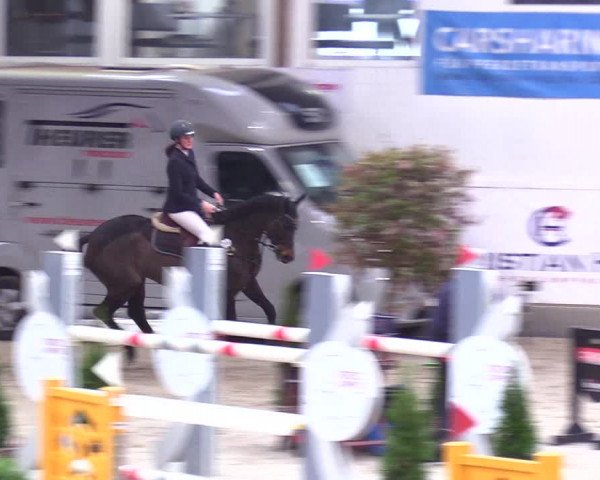 6. Nordic Jumping event Negernbötel 2024