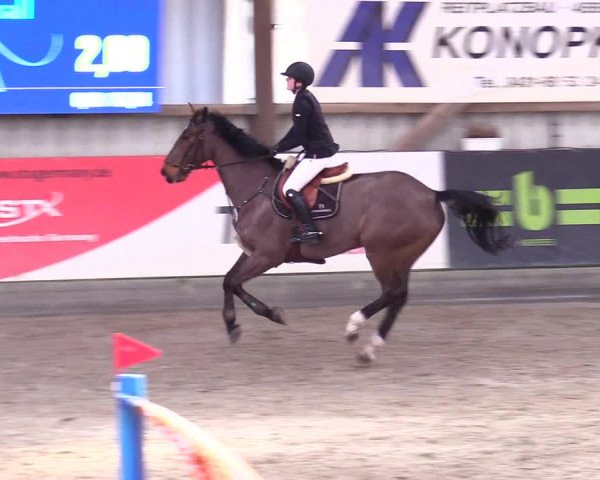 6. Nordic Jumping event Negernbötel 2024
