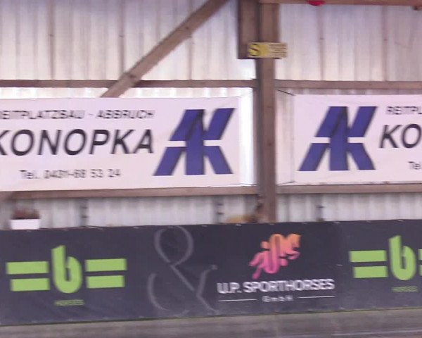 6. Nordic Jumping event Negernbötel 2024