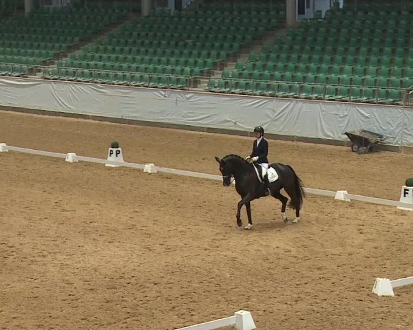 Reitturnier Kreuth/Opf. 2024