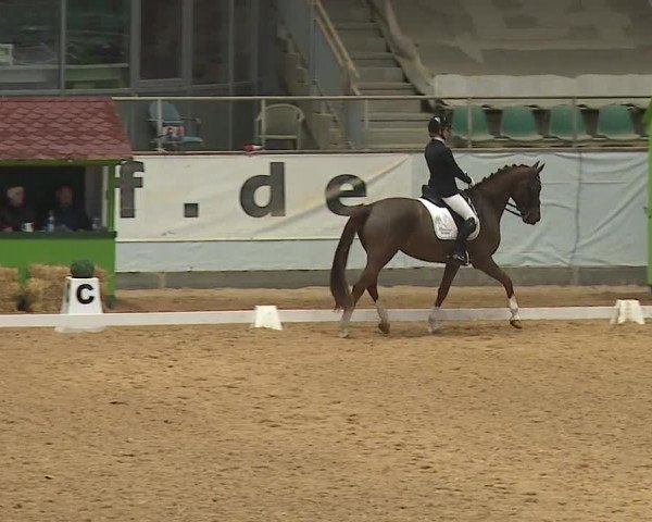 Reitturnier Kreuth/Opf. 2024